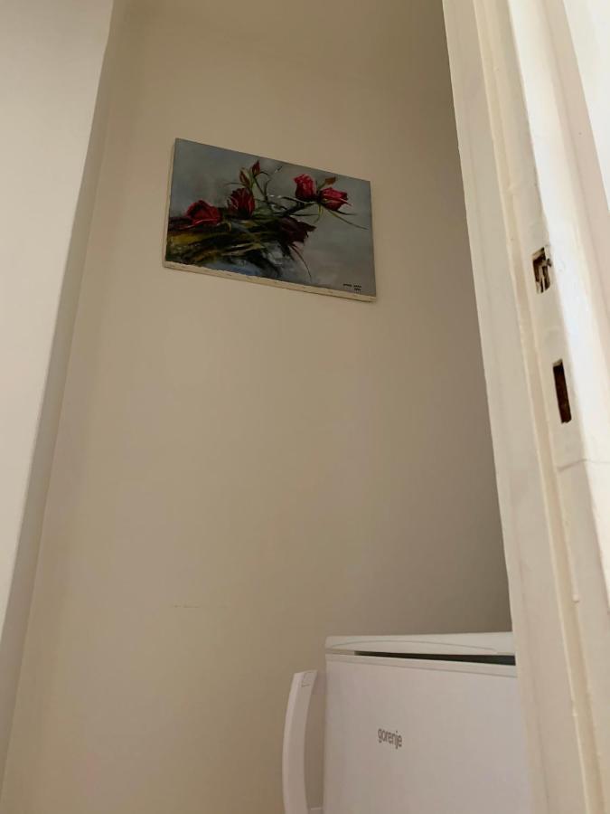 Cozy Apartment In The City Centre Next To Dom Square Szeged Kültér fotó
